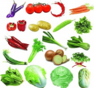 这是保障食物平安取成本可控